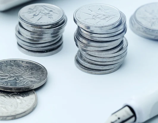 Наличные (включая переводы)